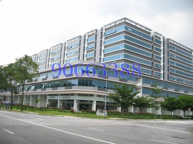 Vertex (D14), Factory #161436712